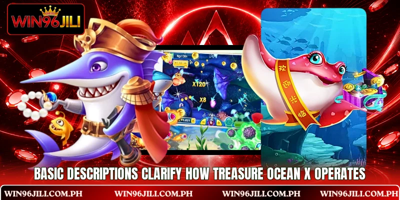 Basic descriptions clarify how Treasure Ocean X operates Basic descriptions clarify how Treasure Ocean X operates